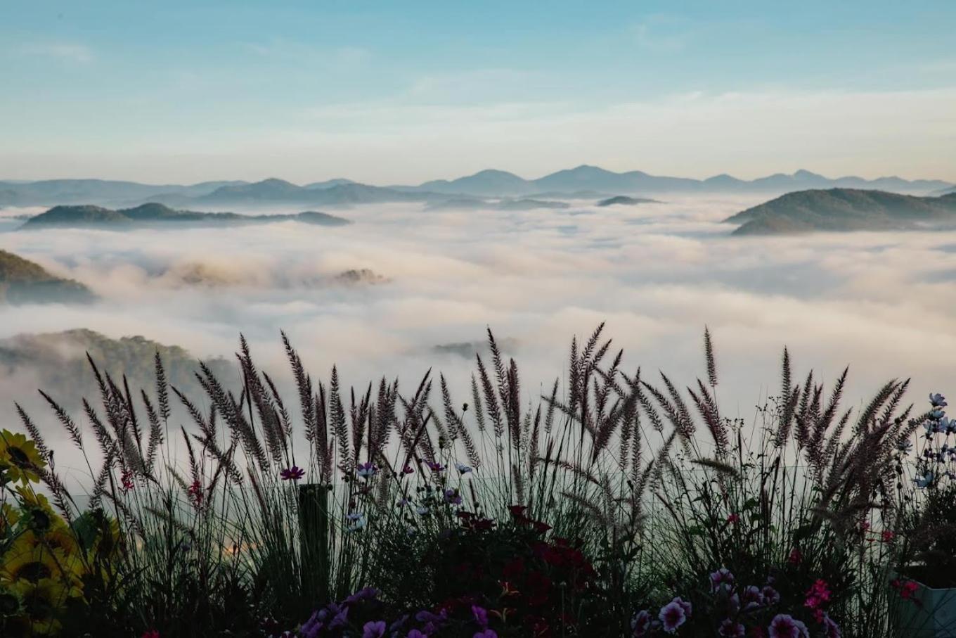 Cloud9 & Cloud View Glamping * Xuan Truong